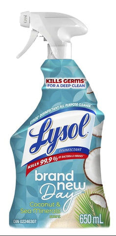 Lysol All Purpose Cleaner -Coconut & Sea Minerals 22 Oz, 12/cs