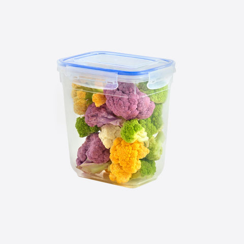 Plastic Deep Seal Rectangular Container 2.1 LT, 12/cs.